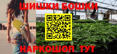 тгк Гатчина