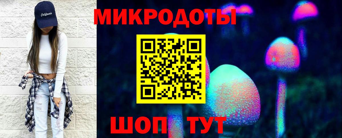 Михайловка  Псилоцибиновые грибы прущие грибы  Вход с VPN 